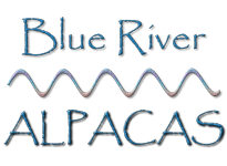 Blue River Alpacas Logo